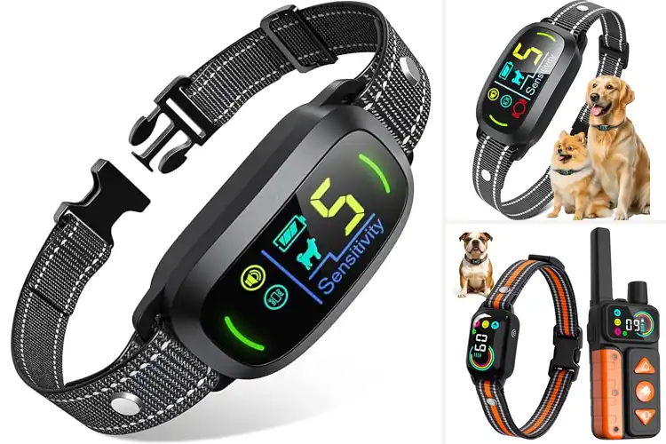 Detailed view of Best Anti Barking Training Collars