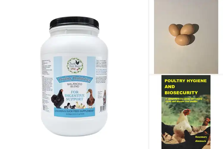 Detailed view of Best Antibiotic Free Chicken Eggs