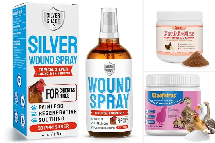 Detailed view of Best Antibiotic-Free Poultry Products