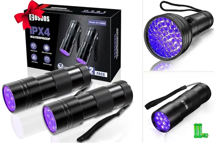 Detailed view of Best Blacklight Flashlights