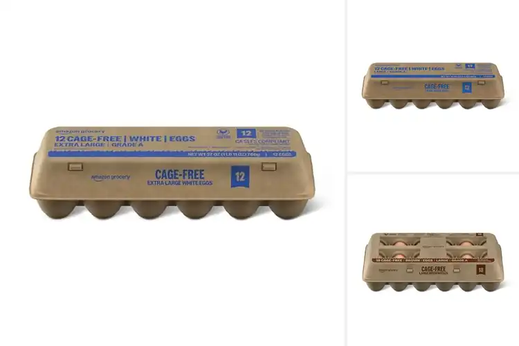 Detailed view of Best Cage Free Grade A Eggs