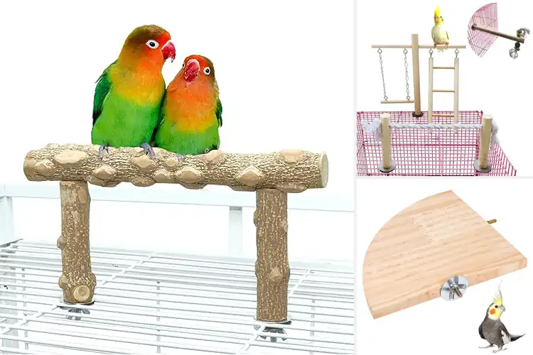 Detailed view of Best Cage Free Indoor Perches Shelter
