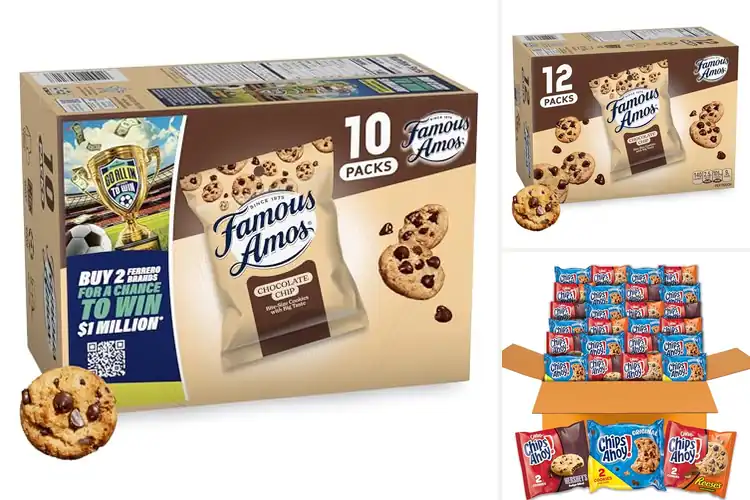 Detailed view of Best Chocolate Chip Cookie Varieties