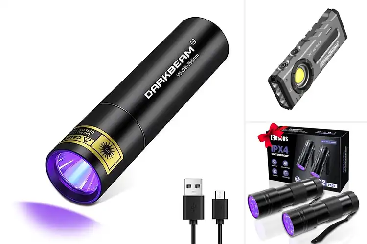 Detailed view of Best Compact UV Flashlights