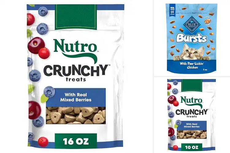 Detailed view of Best Crunchy Treats: 10 Healthy & Delicious Pet Rewards