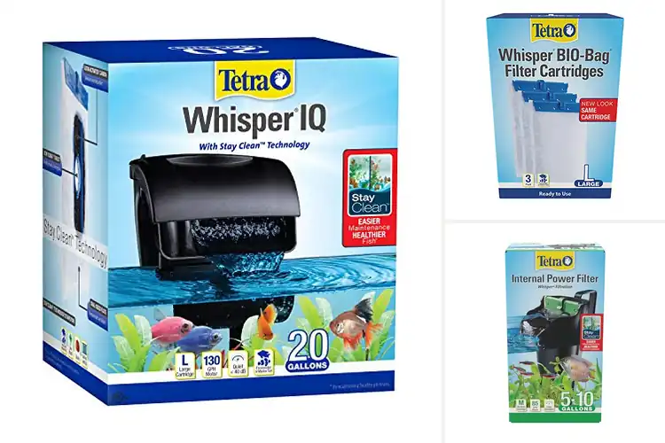 Detailed view of Best Fish Tank Filters