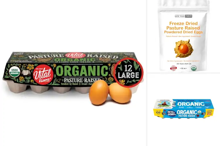 Detailed view of Best Hens Raised Without Antibiotics Eggs