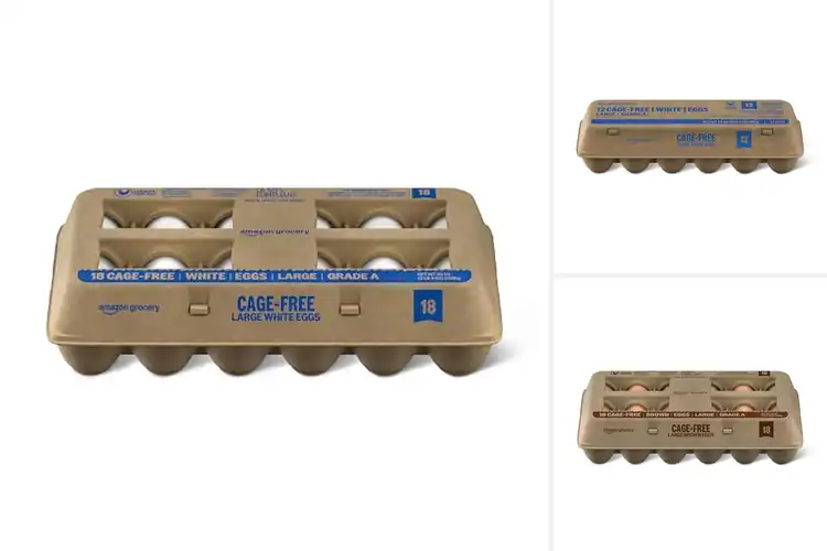 Detailed view of Best Large Eggs
