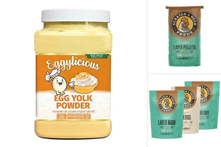 Detailed view of Best Non-GMO Project Eggs