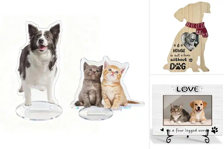 Detailed view of Best Pet Photo Standee