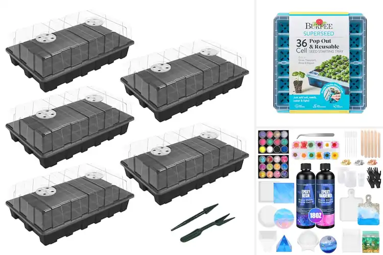 Detailed view of Best Starter Kits: Spark Joy, Build Skills, Grow Ideas