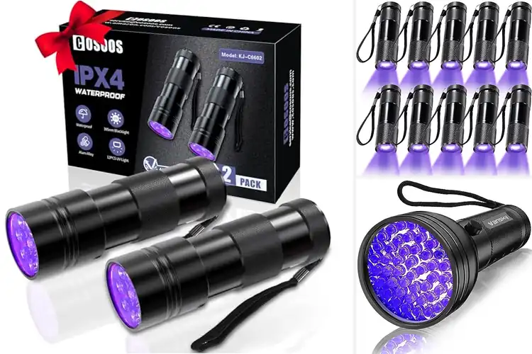 Detailed view of Best UV Flashlights