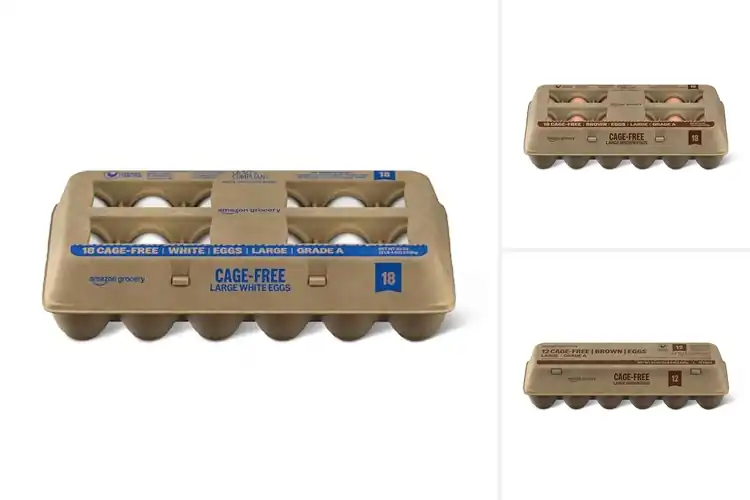 Detailed view of Best Value Eggs: Fresh & Nutritious for Every Meal