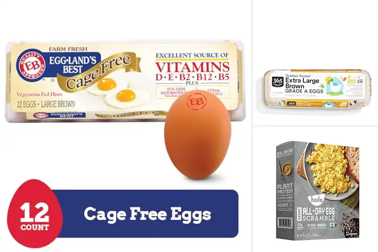 Detailed view of Best Vegetarian Diet Eggs