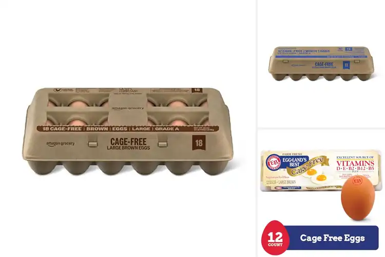 Detailed view of Best Vegetarian Fed Cage Free Eggs