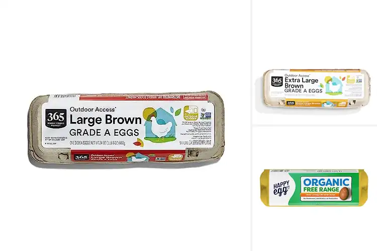 Detailed view of Best Vegetarian Fed Eggs Non GMO