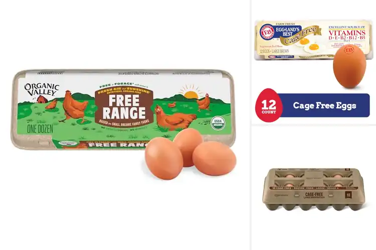 Detailed view of Best Vegetarian Fed Eggs