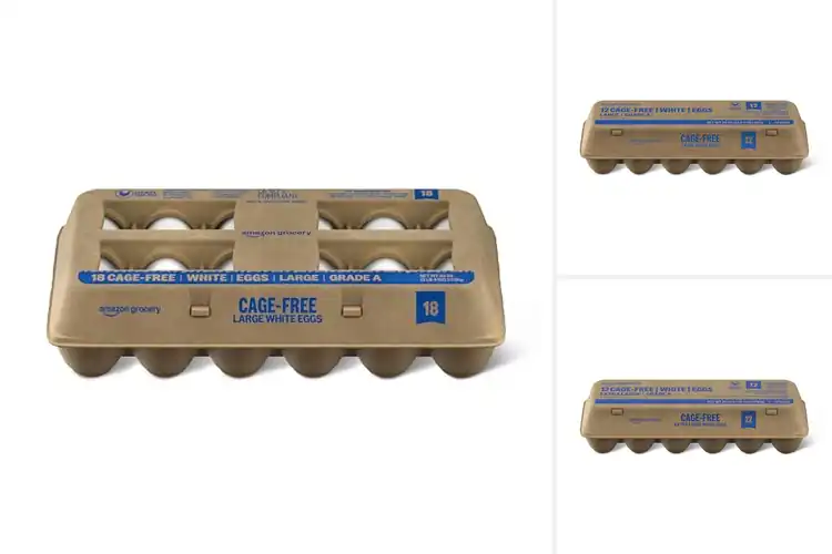 Detailed view of Best White Eggs: Top-Quality Picks for Culinary Perfection